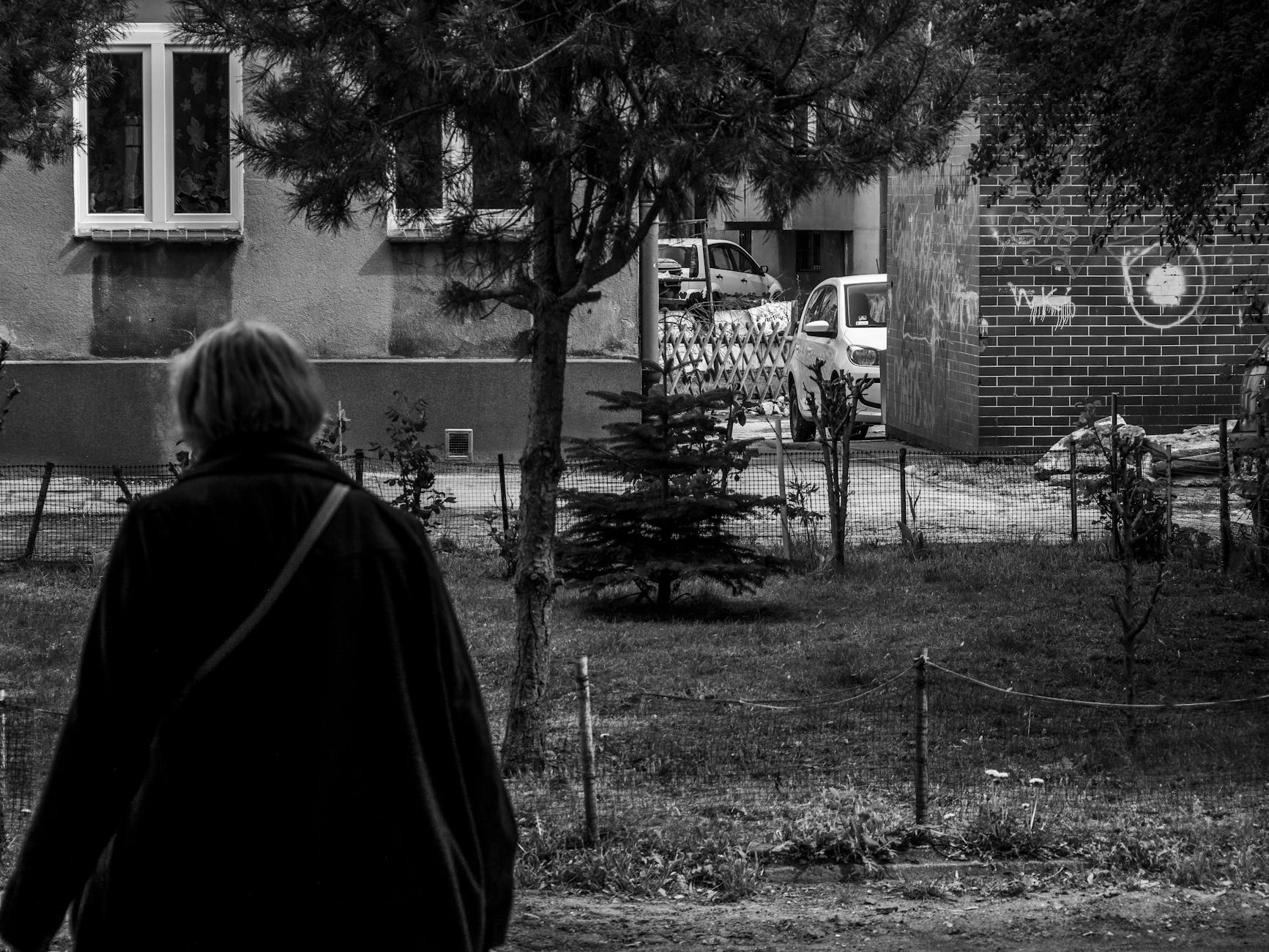 Panorama miasta Ełk z jeziorem i zamkiem w tle.